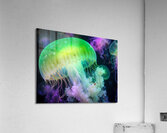 Glowing jellyfish magic Acrylic Print