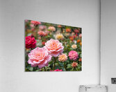 Blossom Haven Acrylic Print