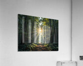 Light Among the Shadows Acrylic Print