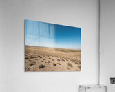Boundless Horizon Acrylic Print