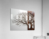 Winter’s Skeleton Acrylic Print