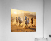 Desert Spirits Acrylic Print