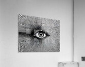 Vision Echoes Acrylic Print