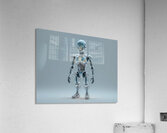 Crystal Circuit: The Future Within Acrylic Print