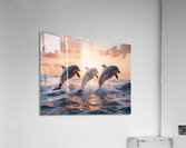 Sunset Serenade Acrylic Print