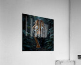 Shadowborn Majesty Acrylic Print