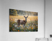  Meadow Serenity Acrylic Print