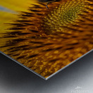  Golden Moment Metal print