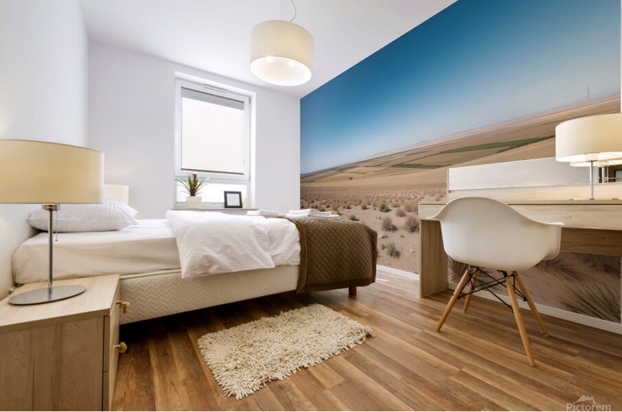 Boundless Horizon Mural print