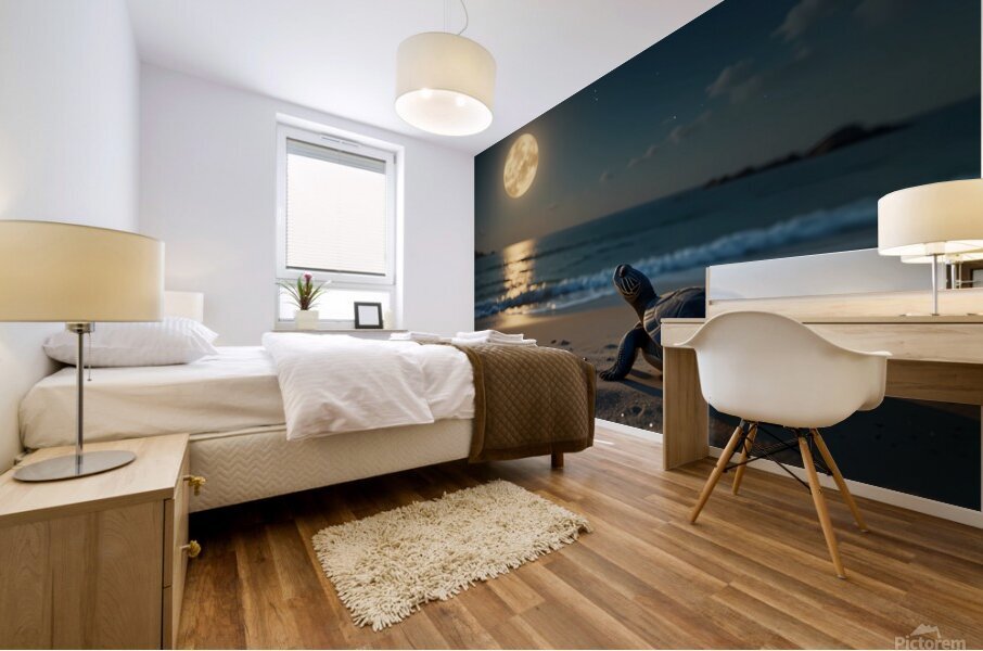 Moonlit Silence Mural print