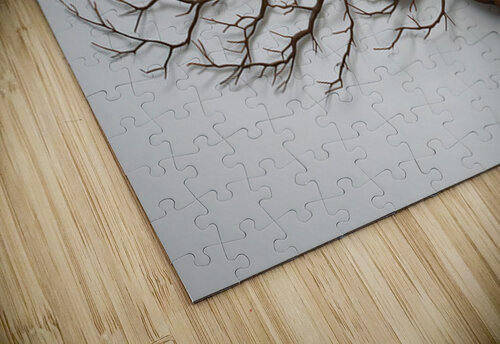 Winter’s Skeleton NAOUAL HESSOUNI puzzle