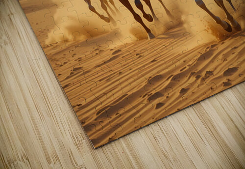Desert Spirits NAOUAL HESSOUNI puzzle