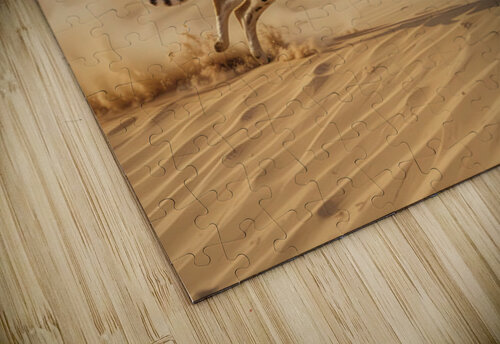 Desert Velocity NAOUAL HESSOUNI puzzle