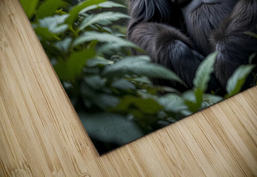Jungle Guardian NAOUAL HESSOUNI puzzle