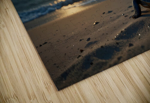 Moonlit Silence NAOUAL HESSOUNI puzzle