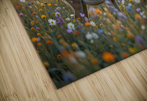  Meadow Serenity NAOUAL HESSOUNI puzzle