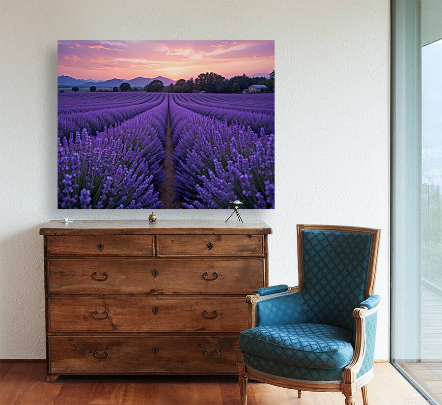 Lavender Dreams Reproduction