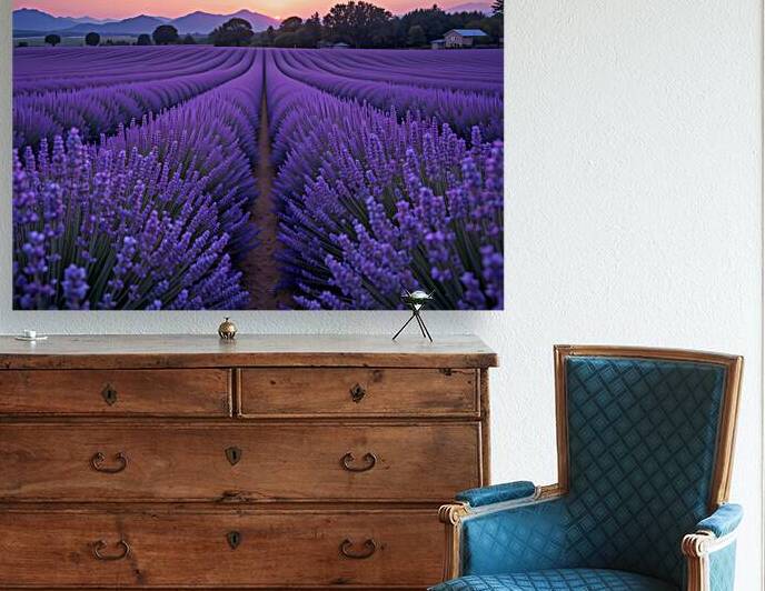 Lavender Dreams by NAOUAL HESSOUNI