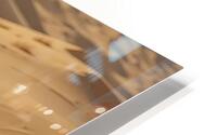 Desert Velocity HD Metal print