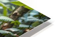 Jungle Guardian HD Metal print