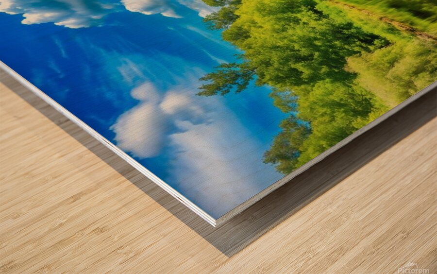 stillness of nature Wood print