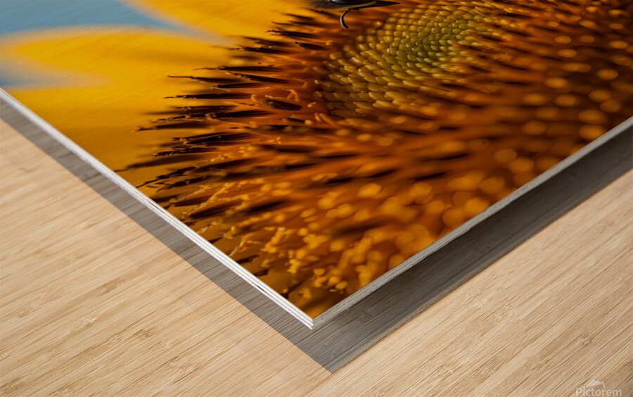  Golden Moment Wood print