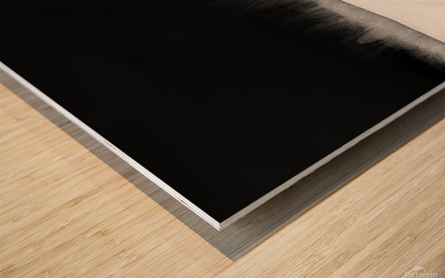 Horizon noir 1 Wood print