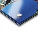 Roller Coaster Acrylic print