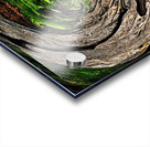 Jungle Gate Acrylic print