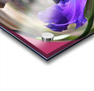 Iris in a crystal bowl Acrylic print