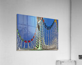 Roller Coaster Acrylic Print