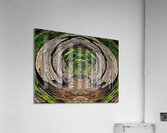 Jungle Gate Acrylic Print