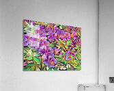 Azaleas Acrylic Print