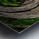 Jungle Gate Metal print