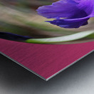 Iris in a crystal bowl Metal print