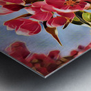 Malus Flower 1 Metal print