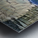 Swan on lake in the morning Metal print