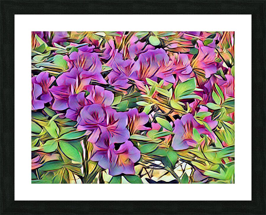 Azaleas Picture Frame print