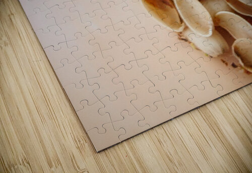 pistachio shells Flodor puzzle