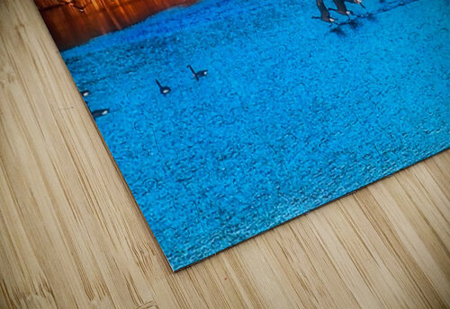 Geese on the Lake Flodor puzzle