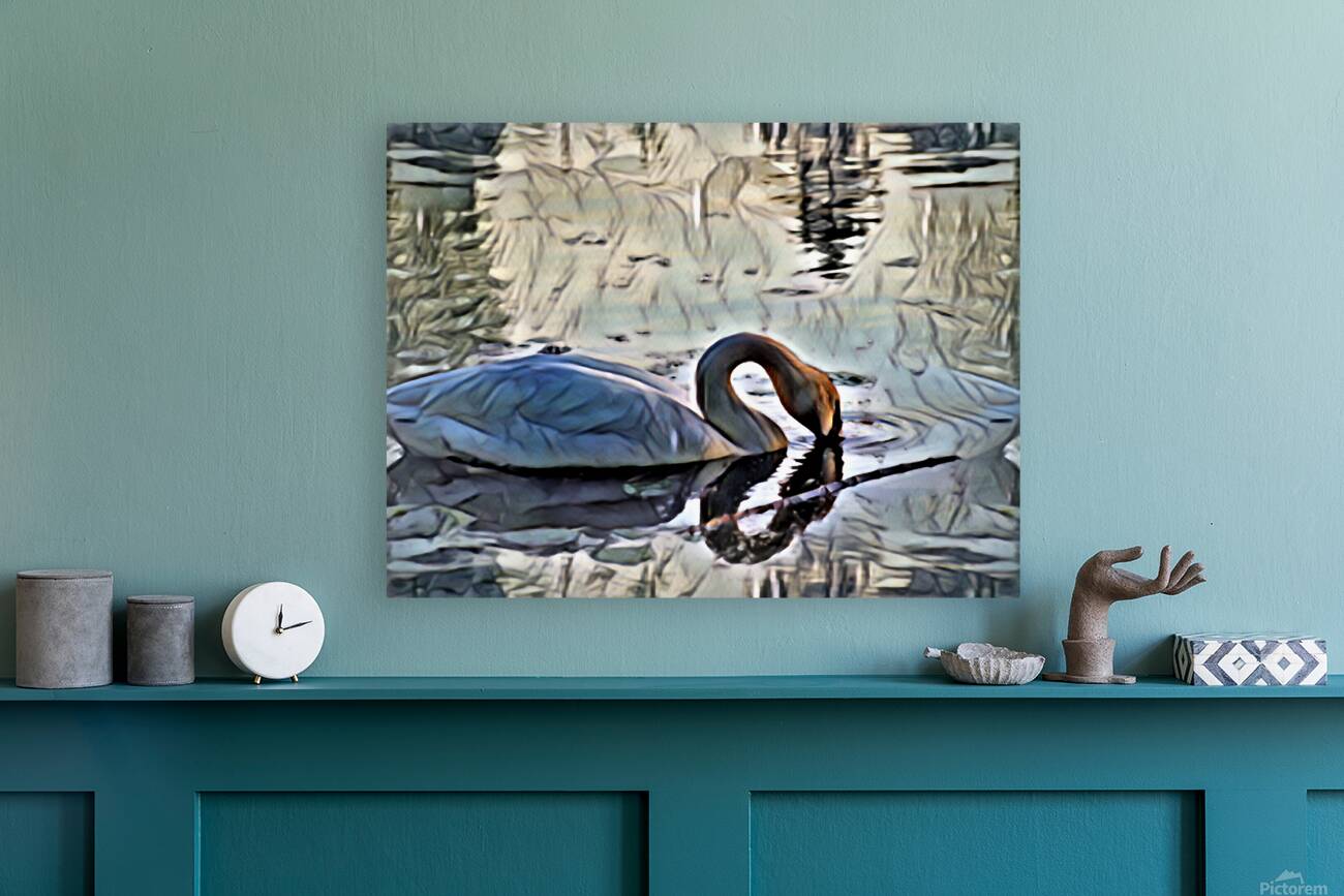 Swan on lake in the morning Reproduction