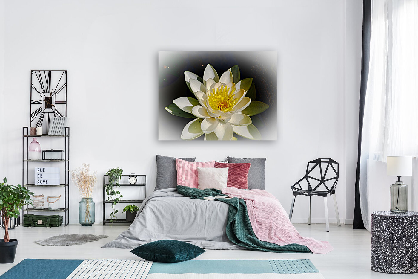 Water Lily Reproduction