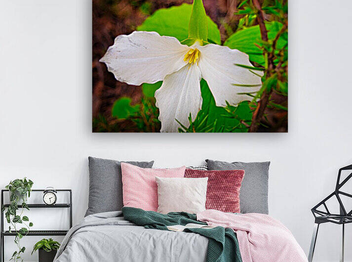 Trillium 1 Reproduction