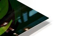 Green HD Metal print