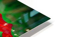 red HD Metal print