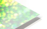 Spring Radiance HD Metal print