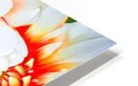 Flower5 HD Metal print