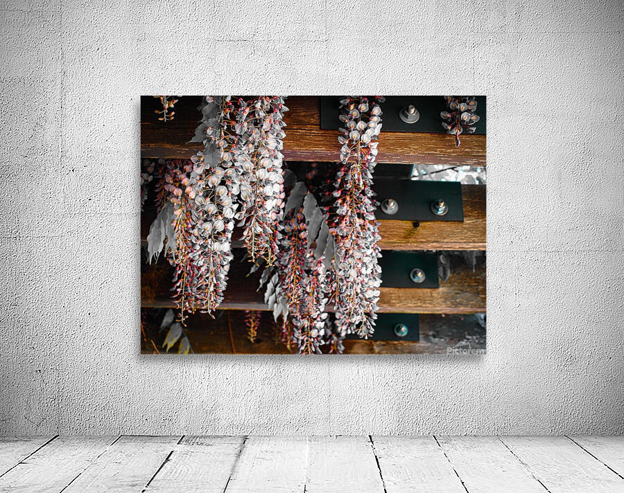 pat3 Wall Preview