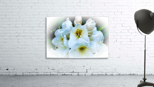 White Flower 1 Wall Preview