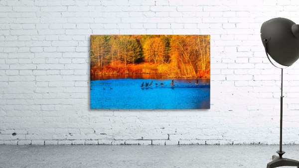 Geese on the Lake Wall Preview